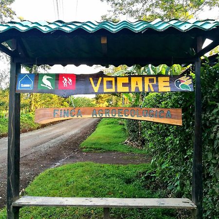 Upala Vocare Finca Agroecologica מראה חיצוני תמונה