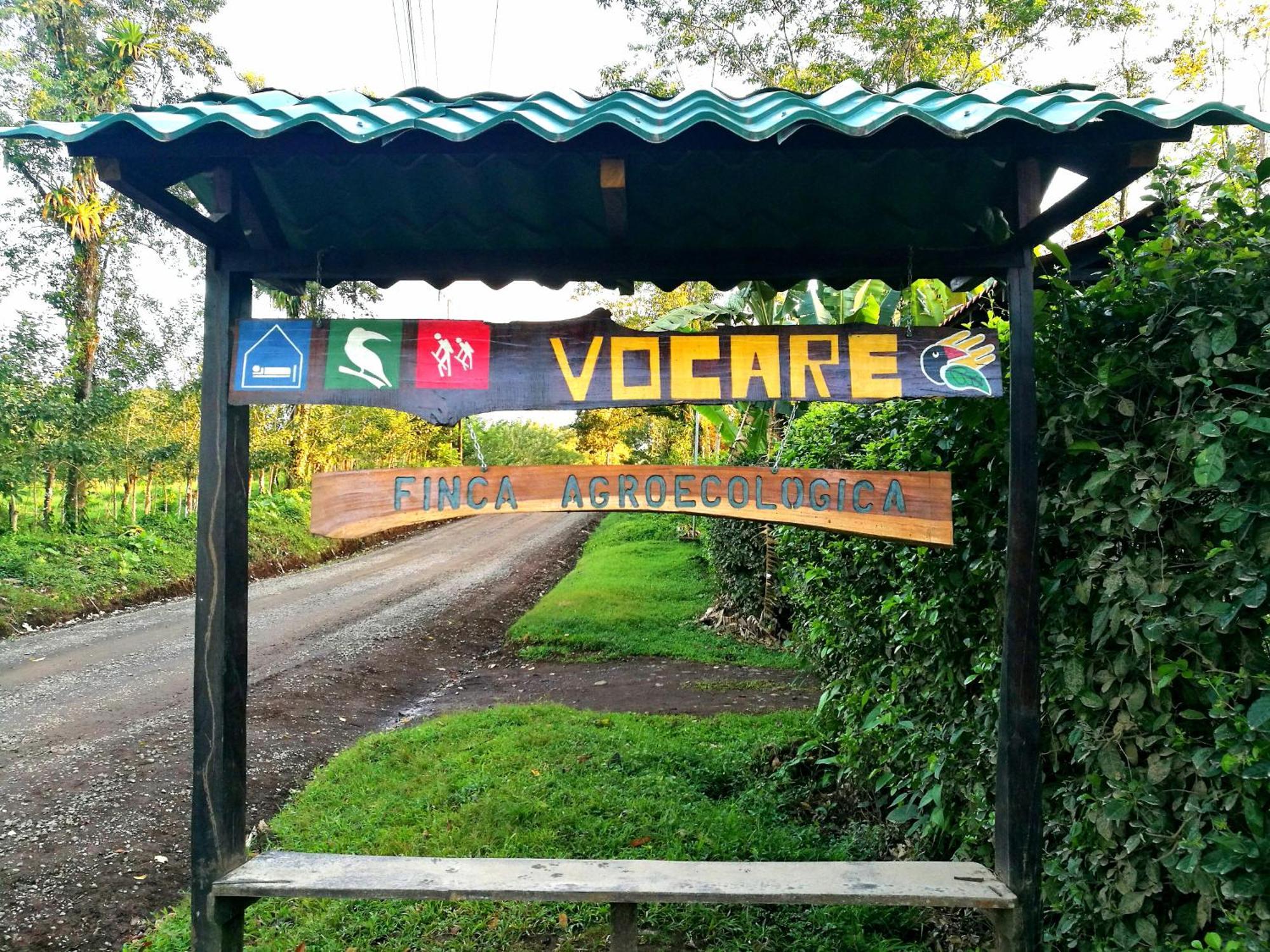 Upala Vocare Finca Agroecologica מראה חיצוני תמונה