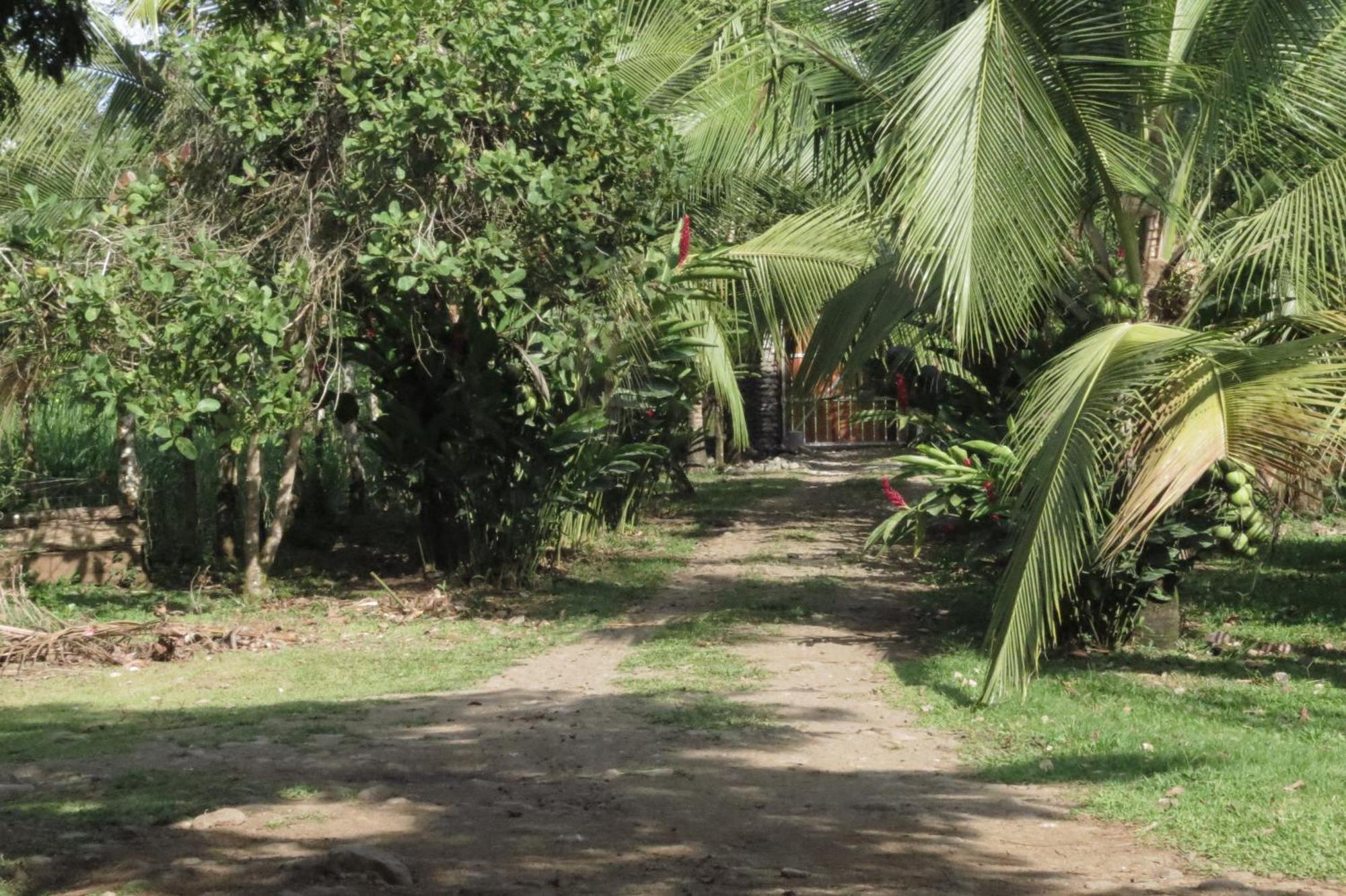 Upala Vocare Finca Agroecologica מראה חיצוני תמונה